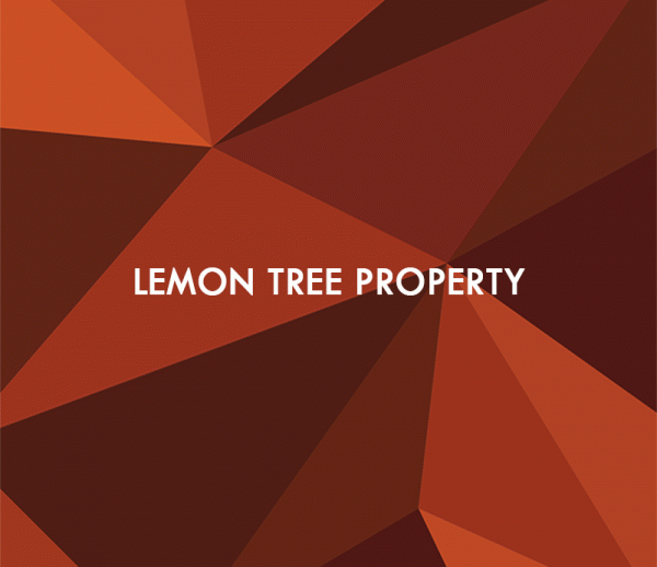 Lemontree Real Estate webbplats