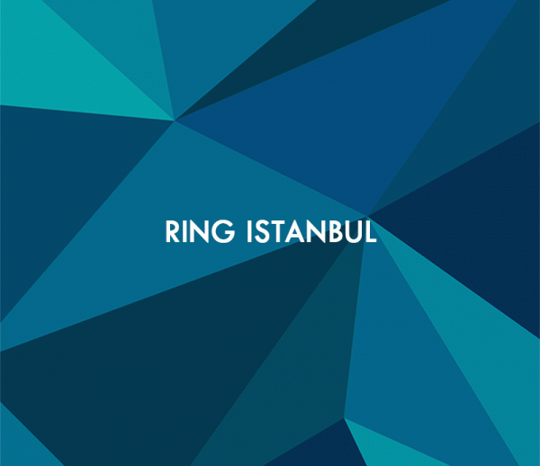 Ring Istanbul Insaat webbplats